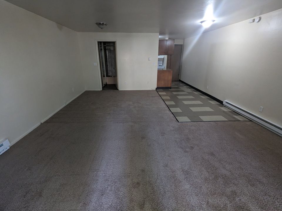 1 Bed 1 Bath Apartment photo'