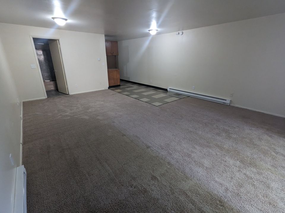 1 Bed 1 Bath Apartment photo'