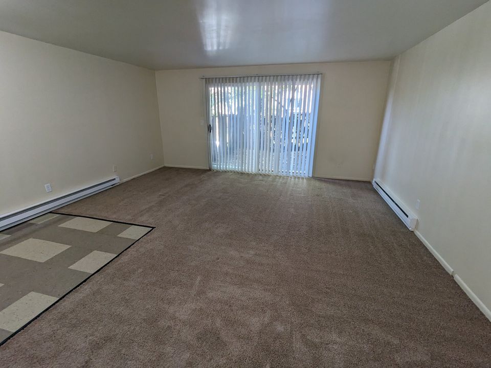 1 Bed 1 Bath Apartment photo'