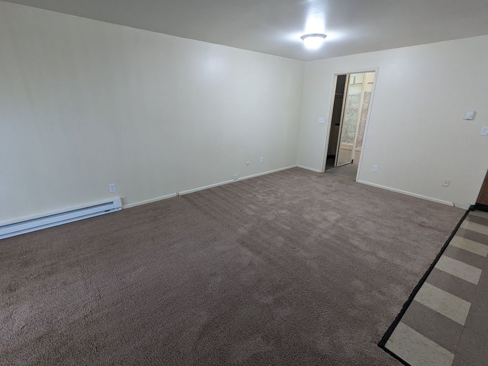 1 Bed 1 Bath Apartment photo'