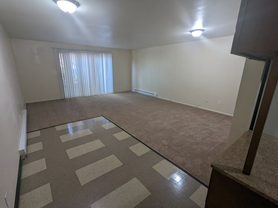 1 Bed 1 Bath Apartment photo'