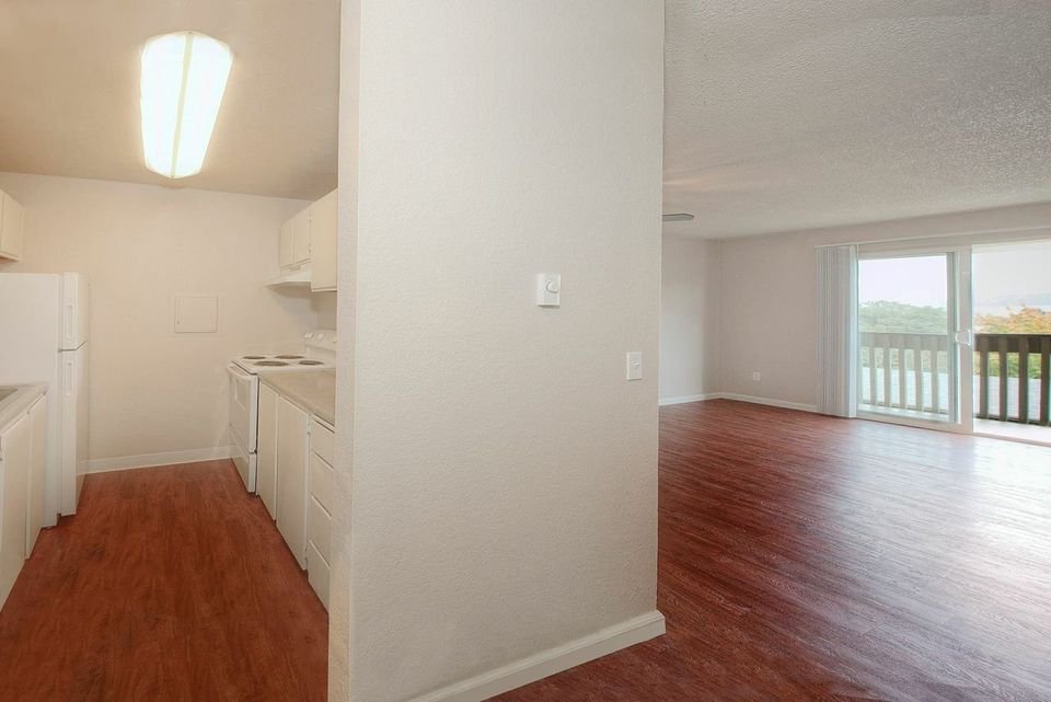 1 Bed 1 Bath Apartment photo'