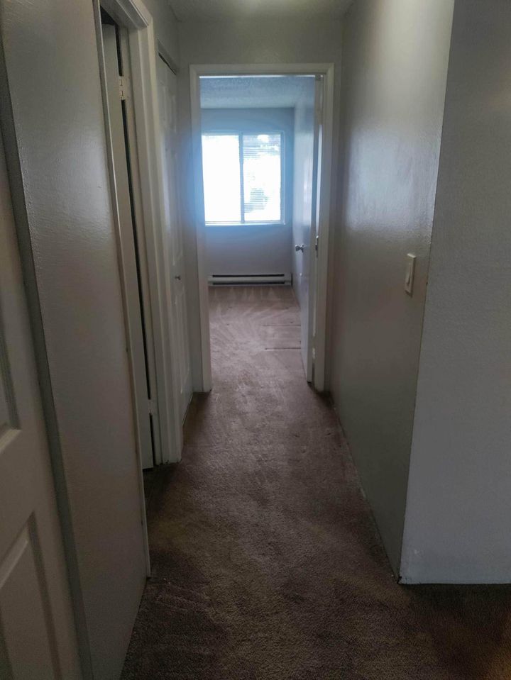 2 Beds 1 Bath - Apartment photo'