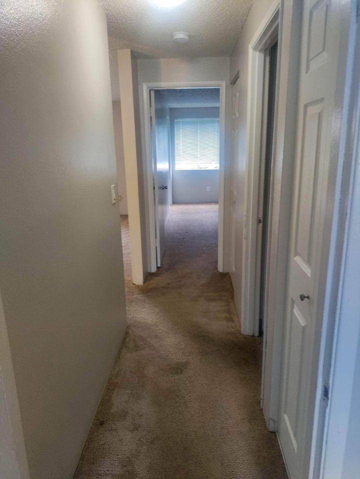 2 Beds 1 Bath - Apartment photo'