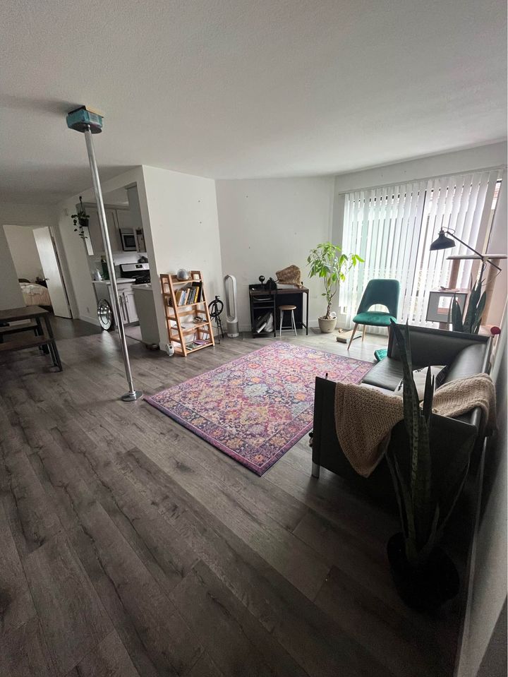 1 Bed 1 Bath - Apartment photo'