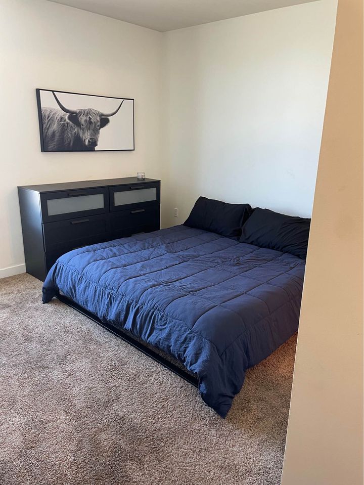 1 Bed 1 Bath - Apartment photo'