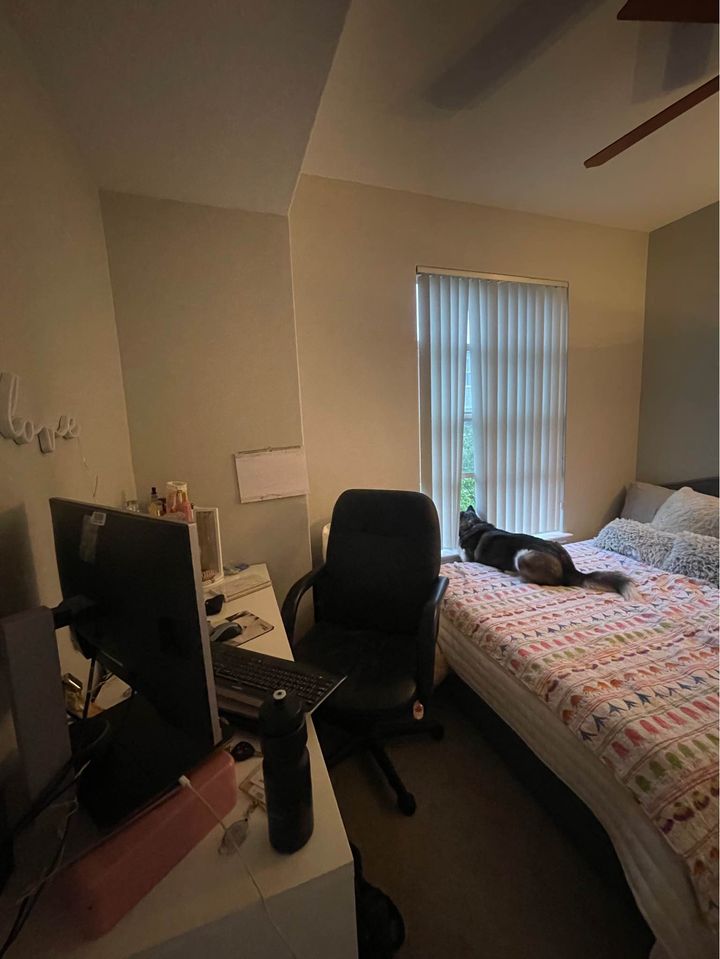 1 Bed 1 Bath - Apartment photo'