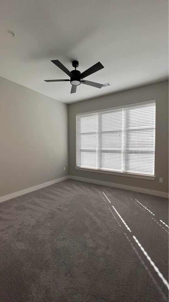 1 Bed 1 Bath - Apartment photo'