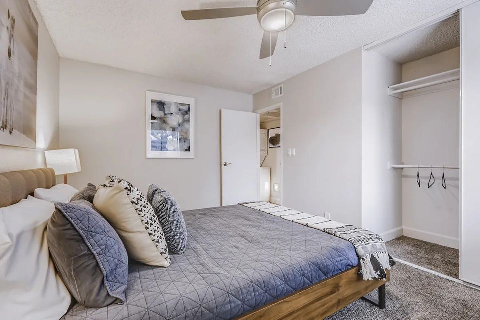 1 Bed 1 Bath Apartment photo'