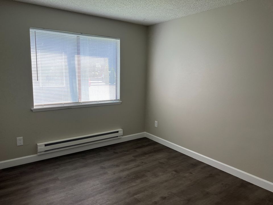 2 Beds 1 Bath Apartment photo'