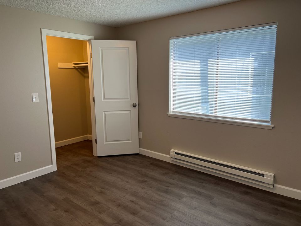 2 Beds 1 Bath Apartment photo'