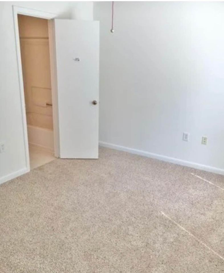 1 Bed 1 Bath - Apartment photo'