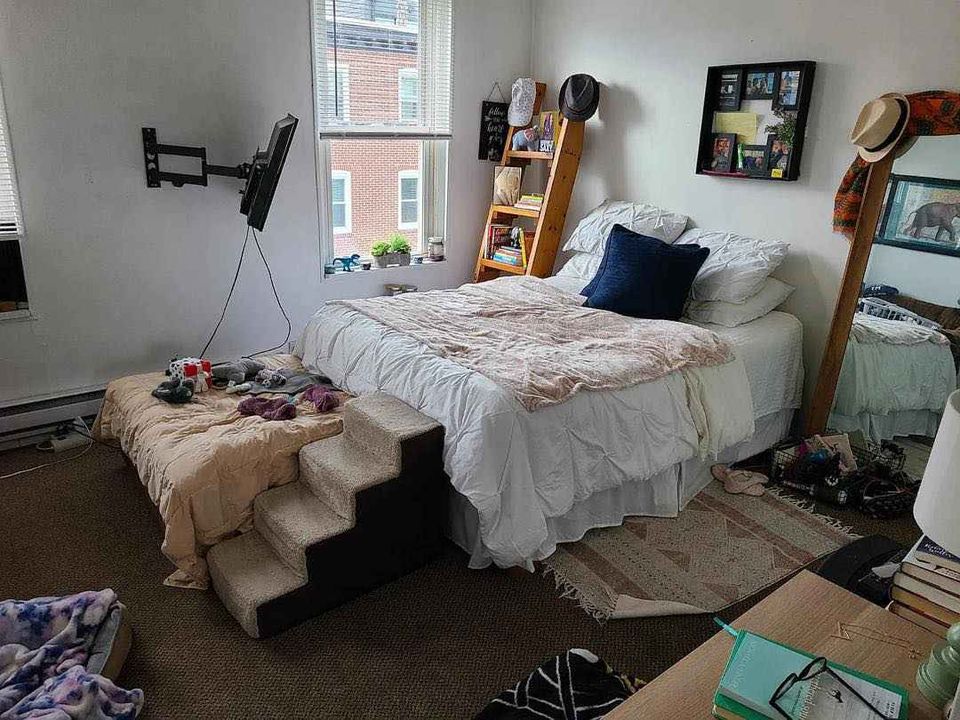 1 Bed 1 Bath - Apartment photo'