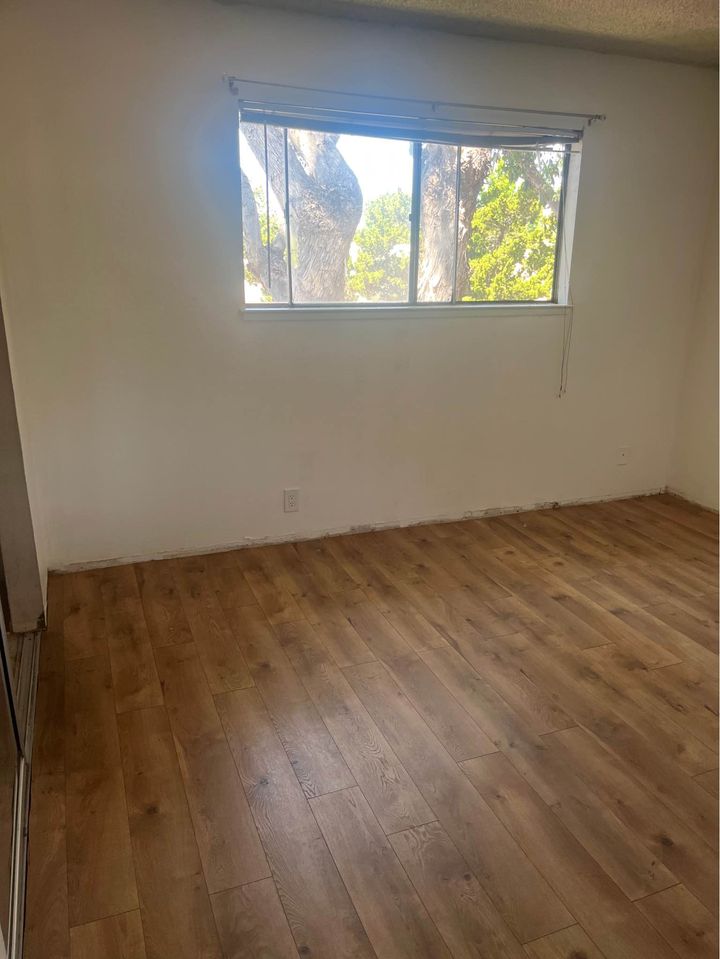 1 Bed 1 Bath - Apartment photo'