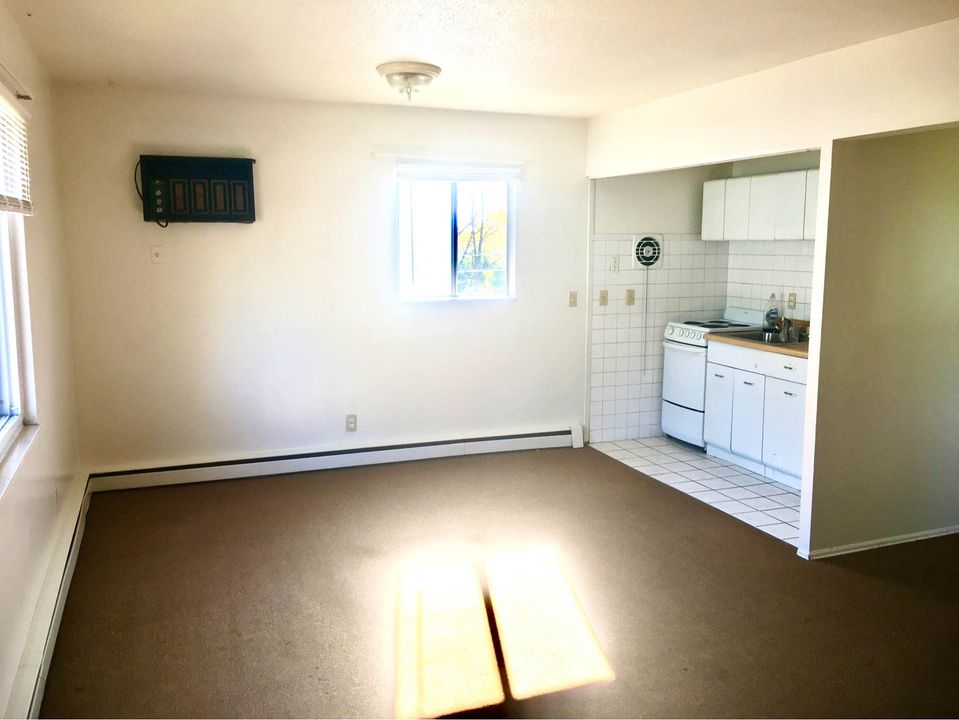 1 Bed 1 Bath - Apartment photo'