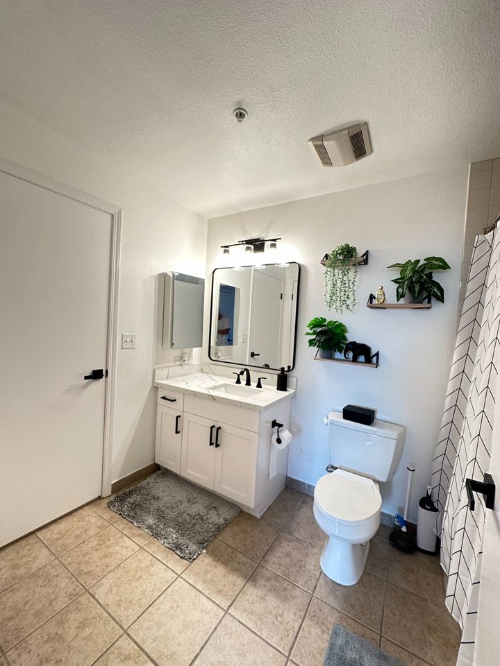 1 Bed 1 Bath Apartment photo'