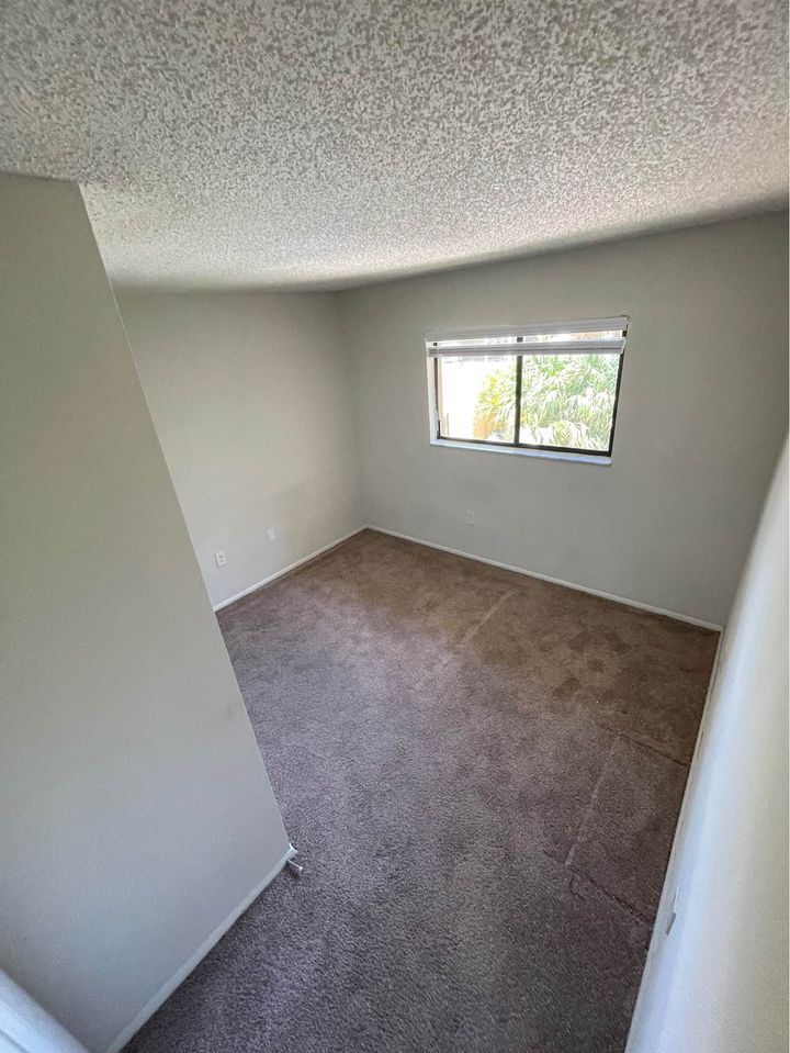 1 Bed 1 Bath - Apartment photo'