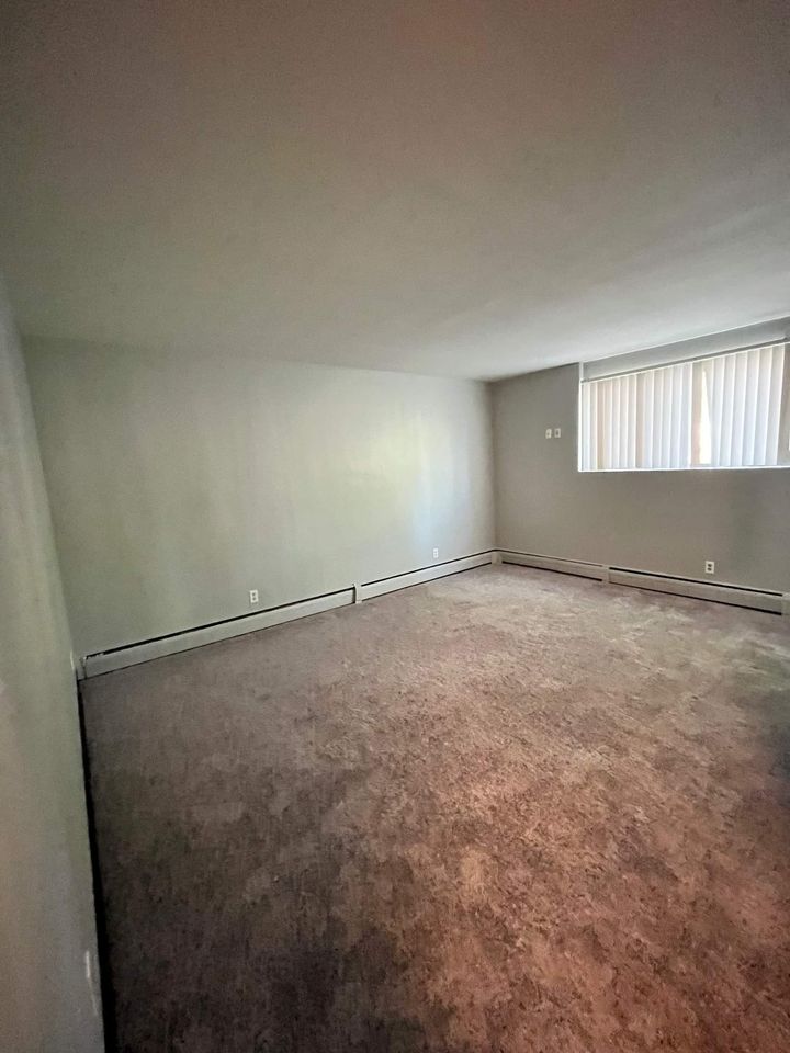 1 Bed, 1 Bath Apartment photo'