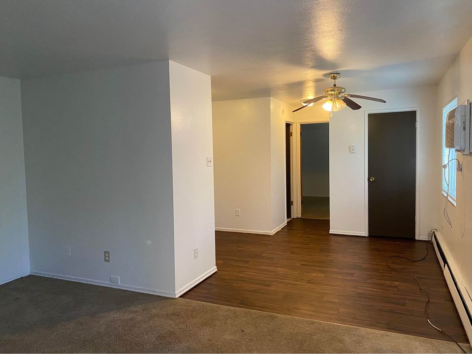 1 Bed 1 Bath - Apartment photo'