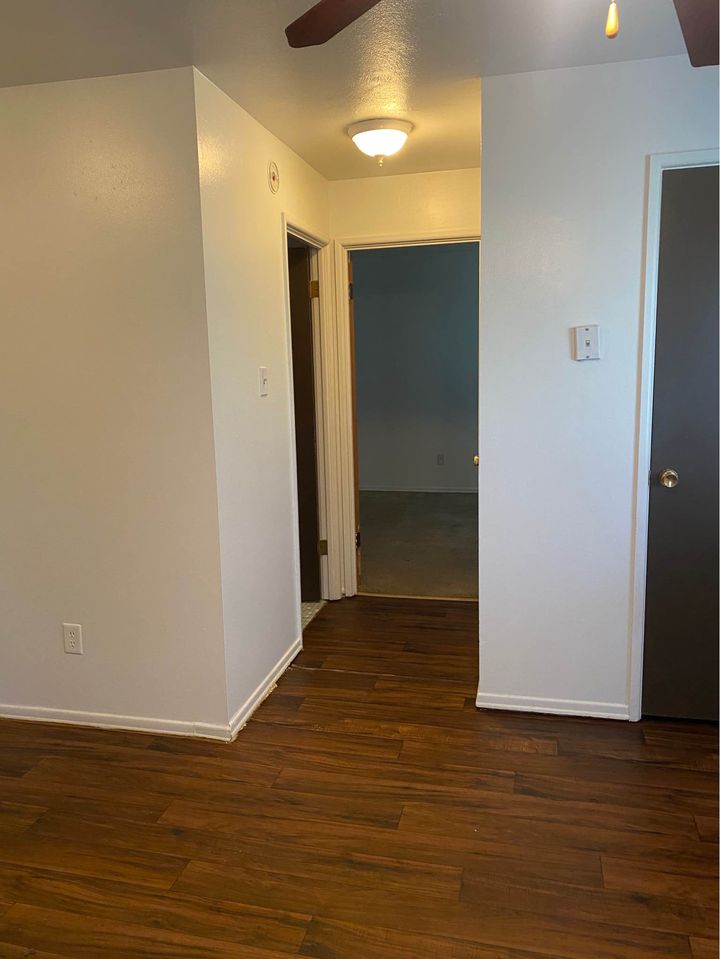 1 Bed 1 Bath - Apartment photo'