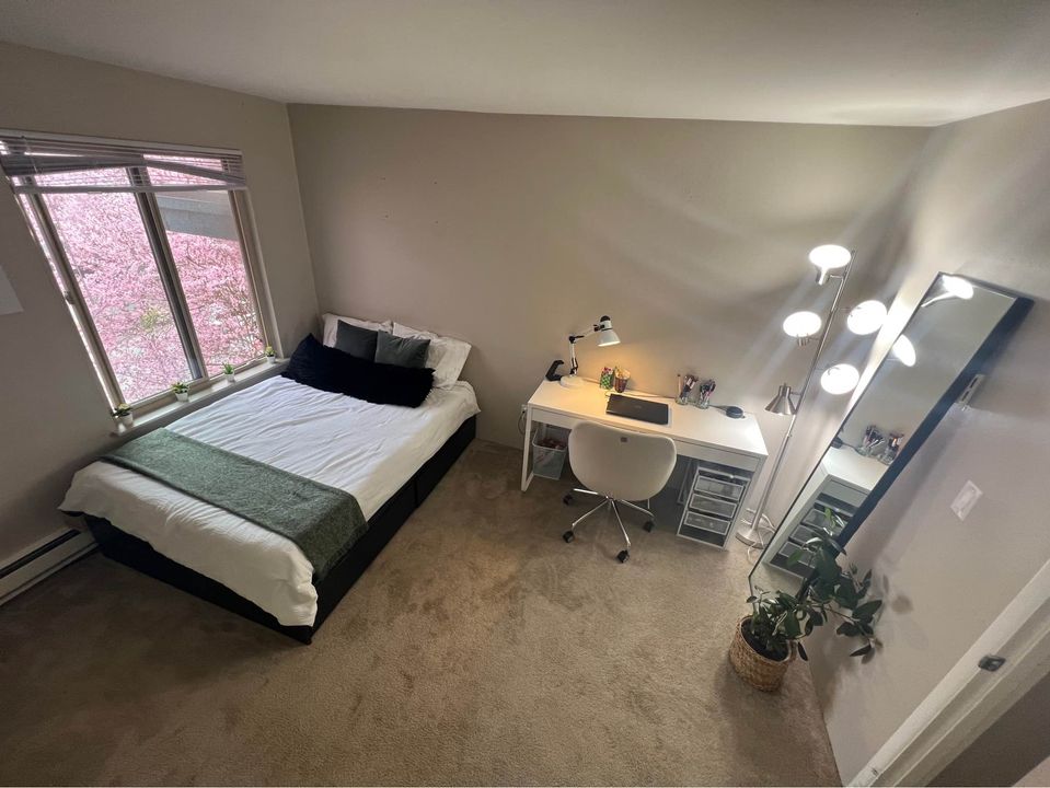 2 Beds 1 Bath - Apartment photo'