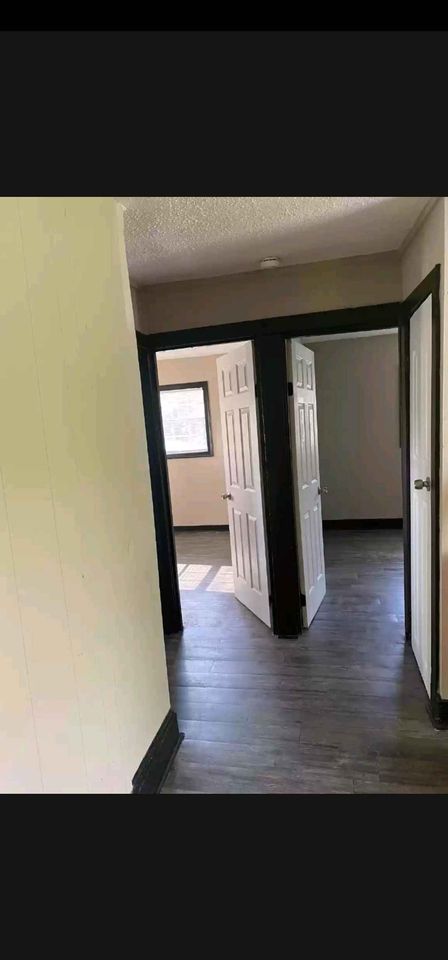 2 Beds 1 Bath - Apartment photo'