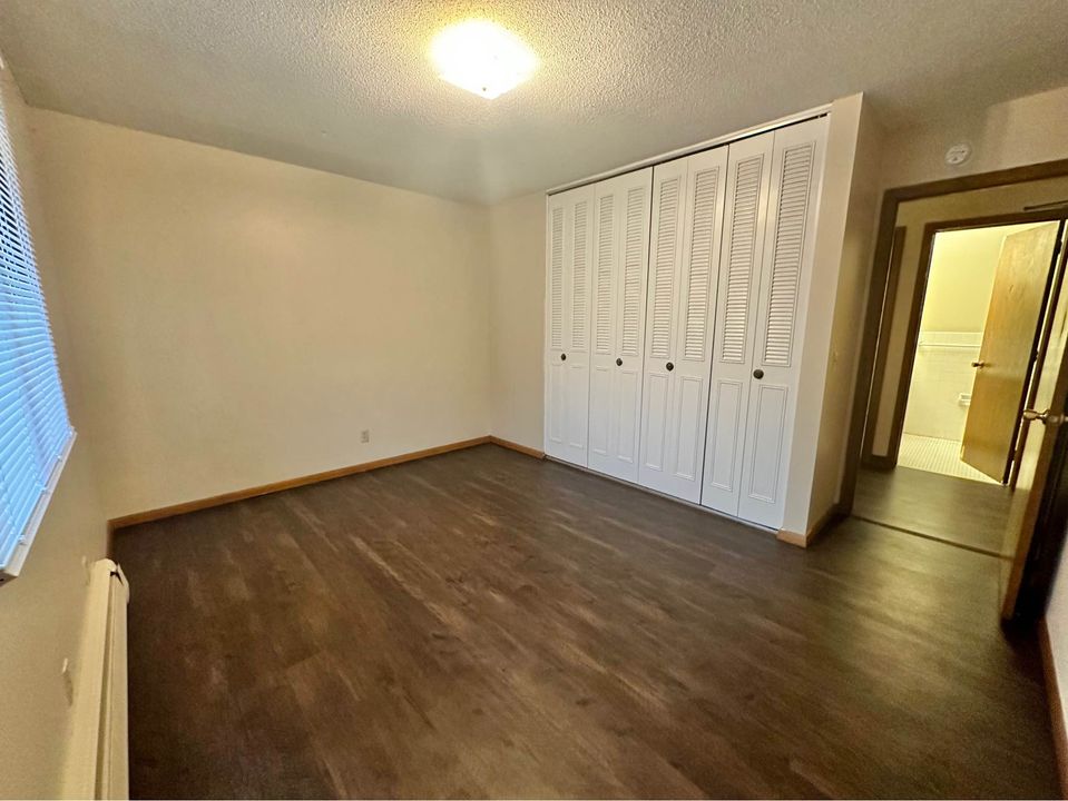 1 Bed 1 Bath - Apartment photo'