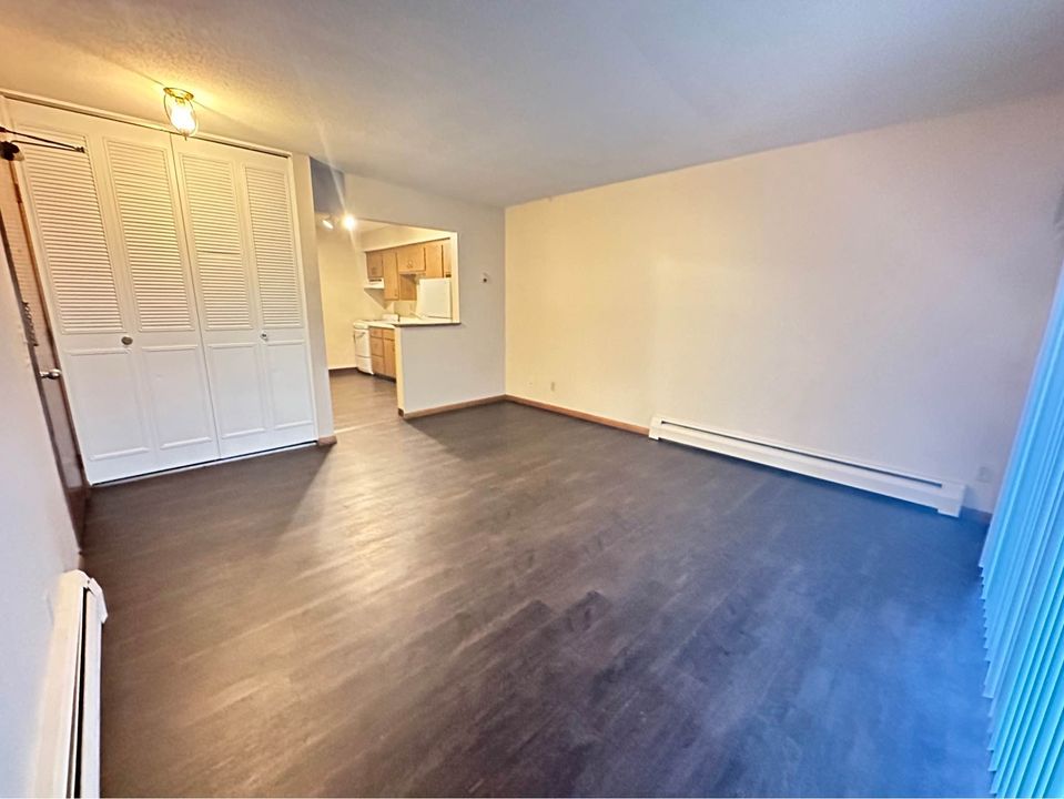 1 Bed 1 Bath - Apartment photo'