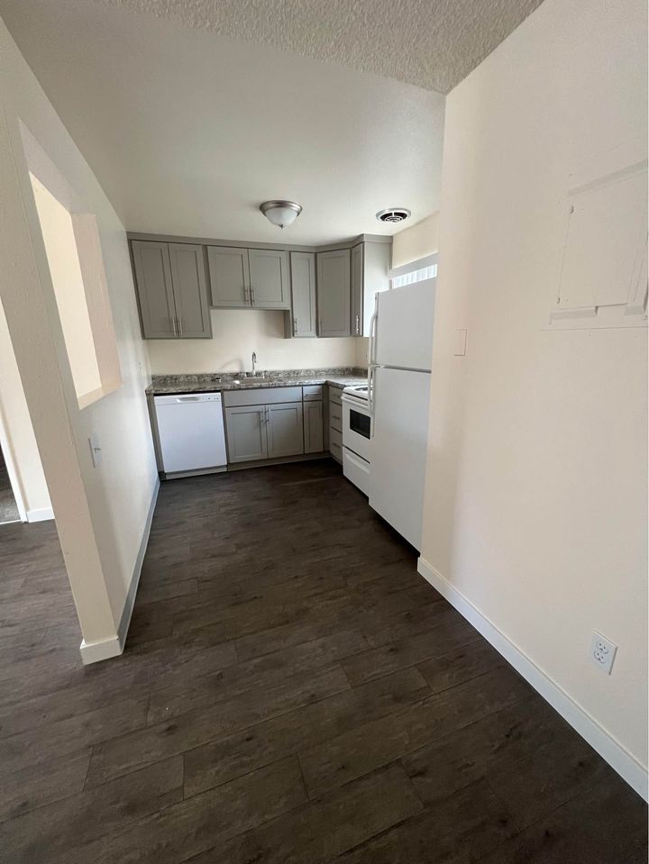 1 Bed 1 Bath - Apartment photo'