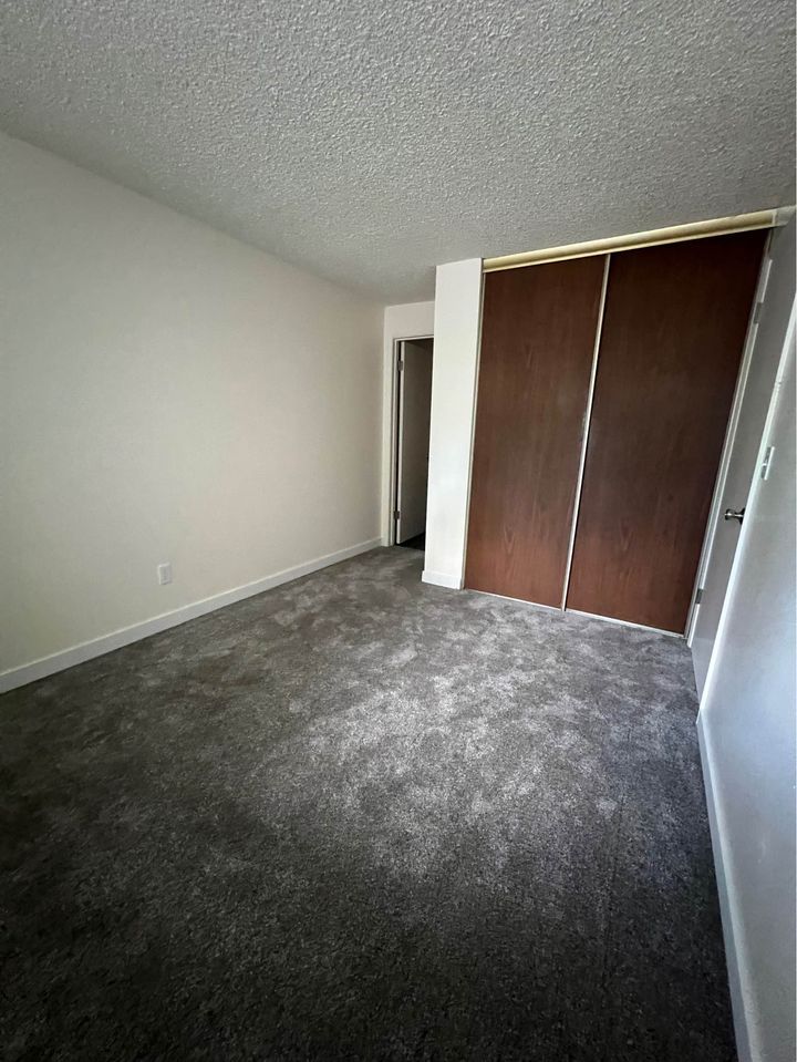 1 Bed 1 Bath - Apartment photo'