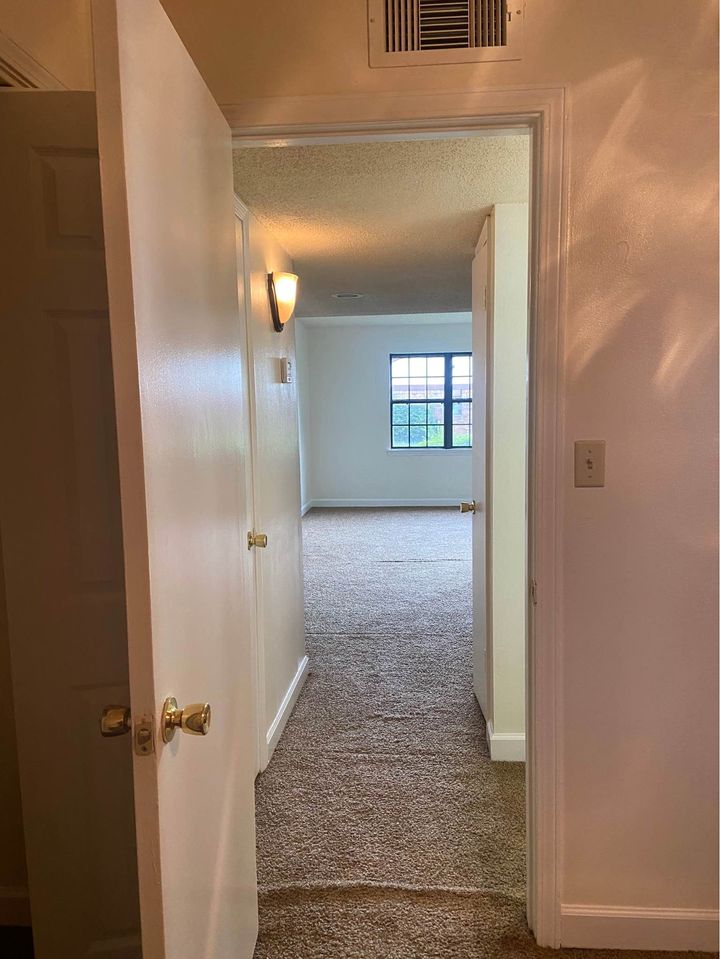 1 Bed 1 Bath - Apartment photo'