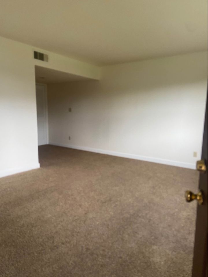 1 Bed 1 Bath - Apartment photo'