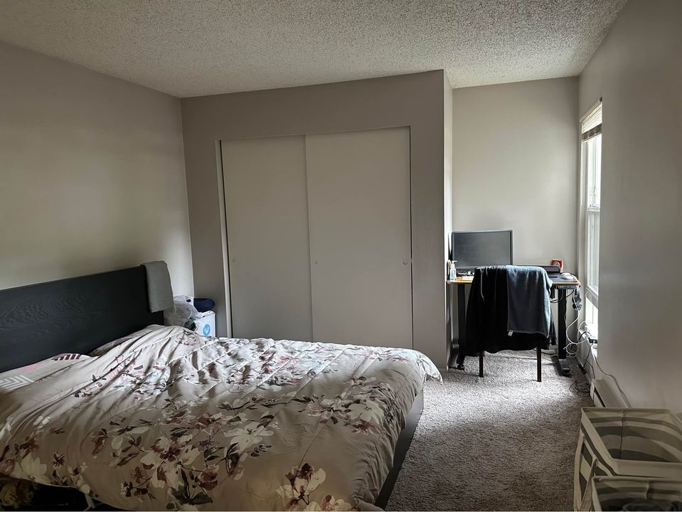 1 Bed 1 Bath - Apartment photo'