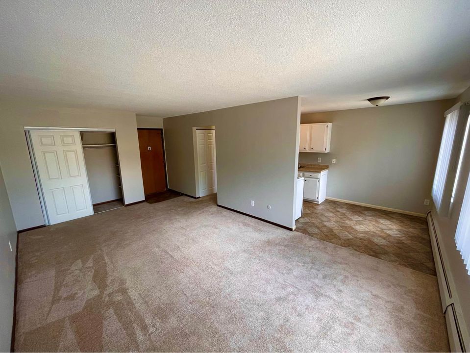 1 Bed 1 Bath - Apartment photo'