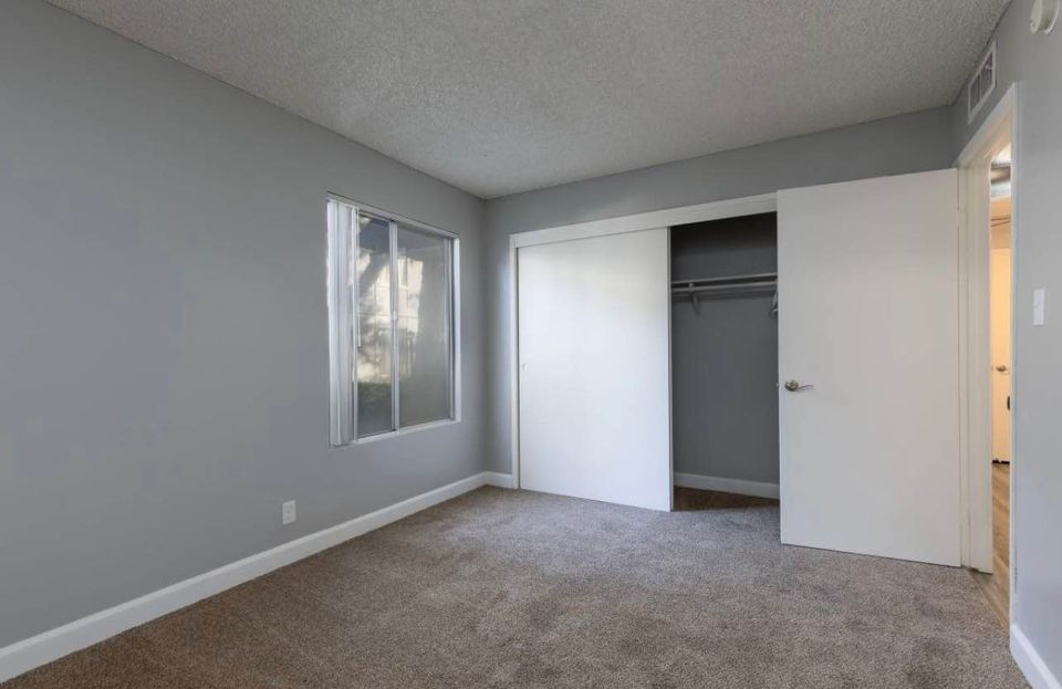 1 Bed 1 Bath - Apartment photo'