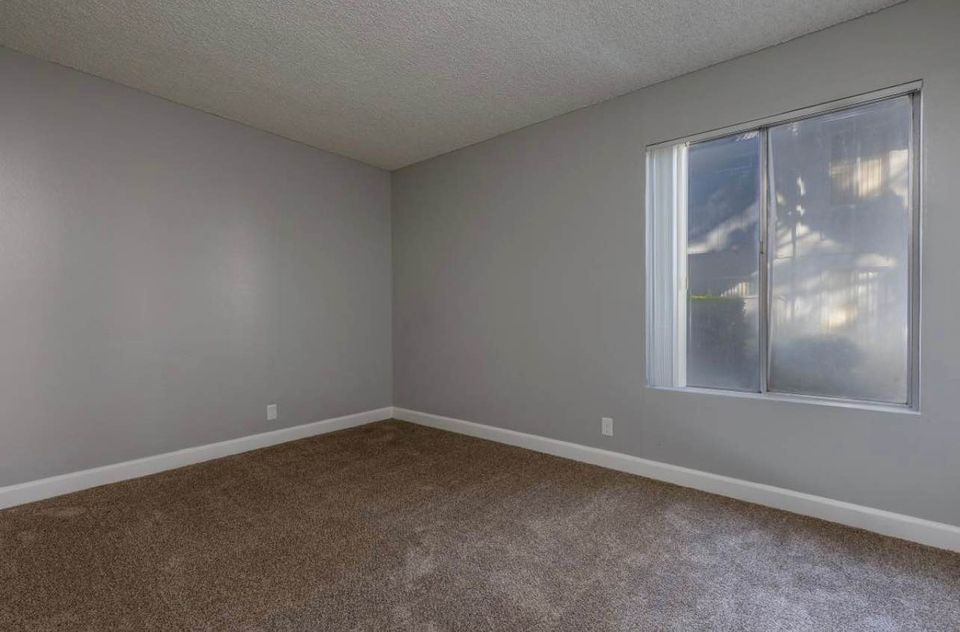 1 Bed 1 Bath - Apartment photo'