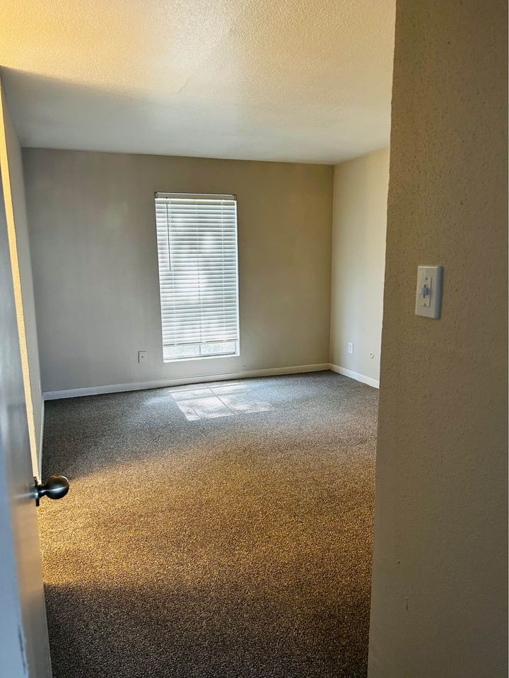 1 Bed 1 Bath - Apartment photo'