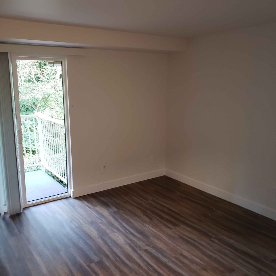 1 Bed 1 Bath - Apartment photo'