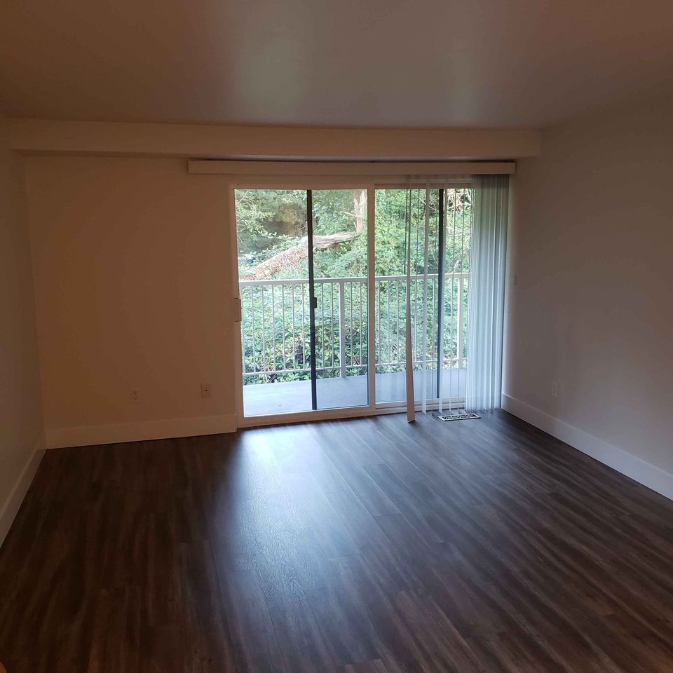 1 Bed 1 Bath - Apartment photo'