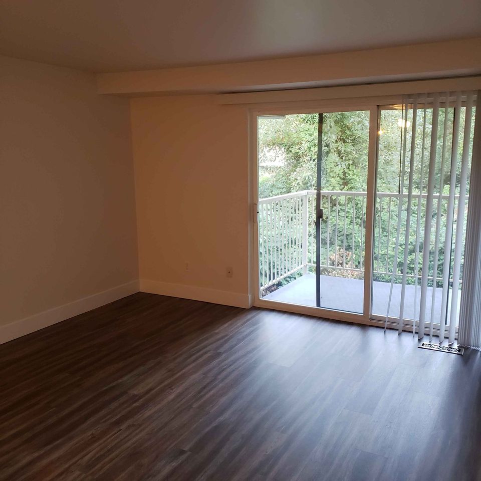 1 Bed 1 Bath - Apartment photo'