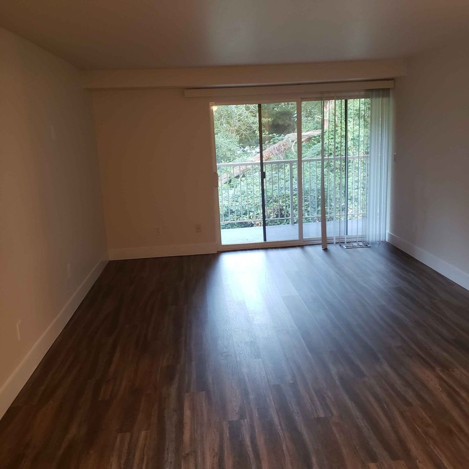 1 Bed 1 Bath - Apartment photo'