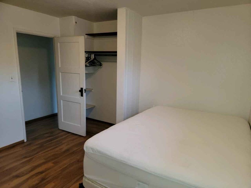 1 Bed 1 Bath - Apartment photo'