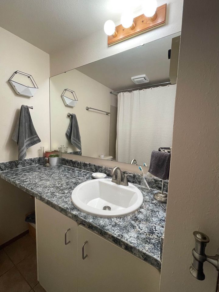 1 Bed 1 Bath - Apartment photo'