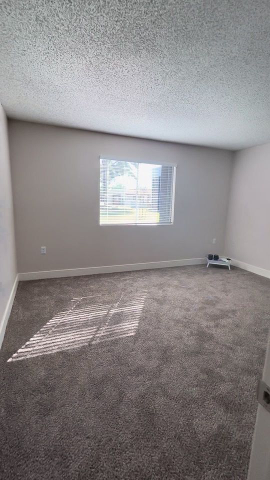 1 Bed 1 Bath Apartment photo'