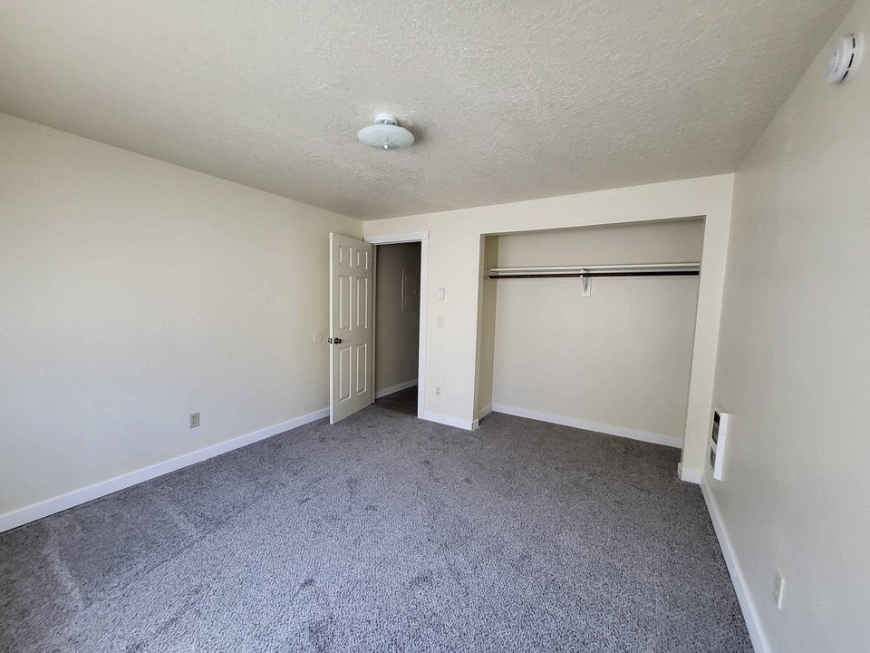 2 Beds 1 Bath - Apartment photo'