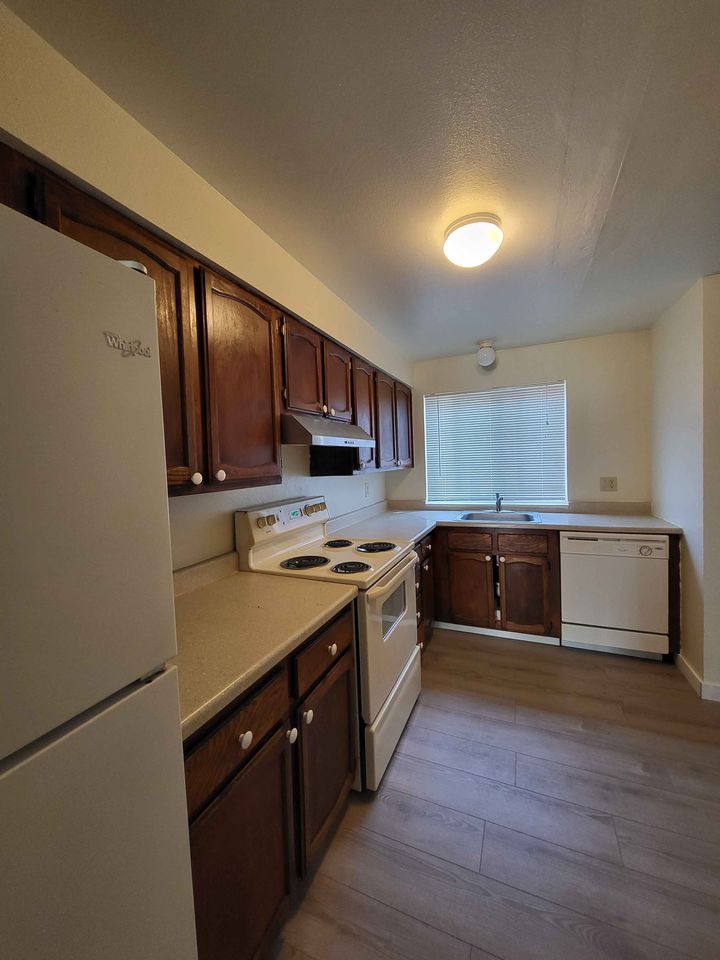 2 Beds 1 Bath - Apartment photo'