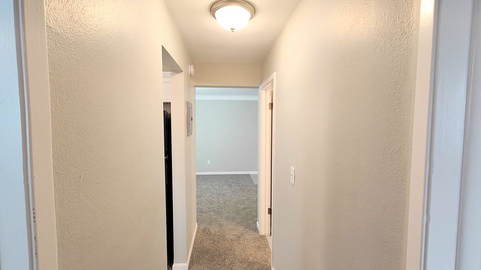 2 Beds 1 Bath Apartment photo'