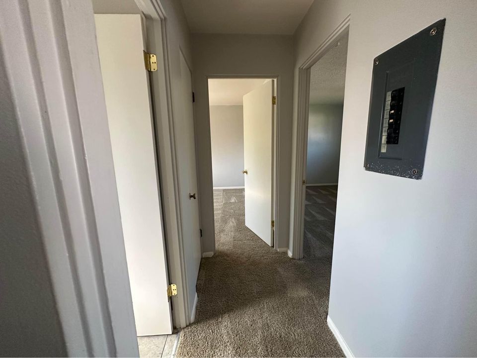 2 Beds 1 Bath Apartment photo'