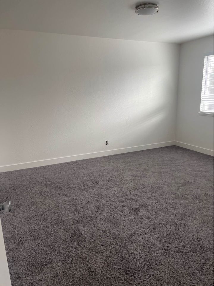 1 Bed 1 Bath - Apartment photo'