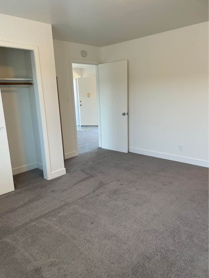 1 Bed 1 Bath - Apartment photo'